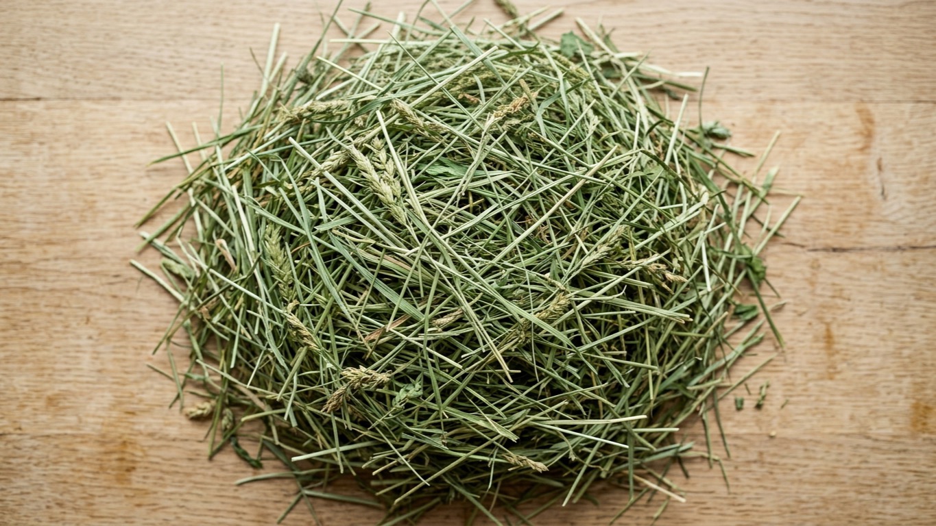 7 Best Hay Types for Guinea Pigs: Picks for Healthy Digestion & Dental Health